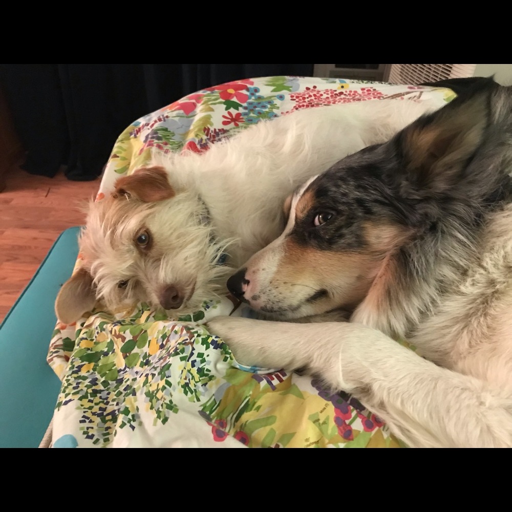 Meet your Posher, Nancy